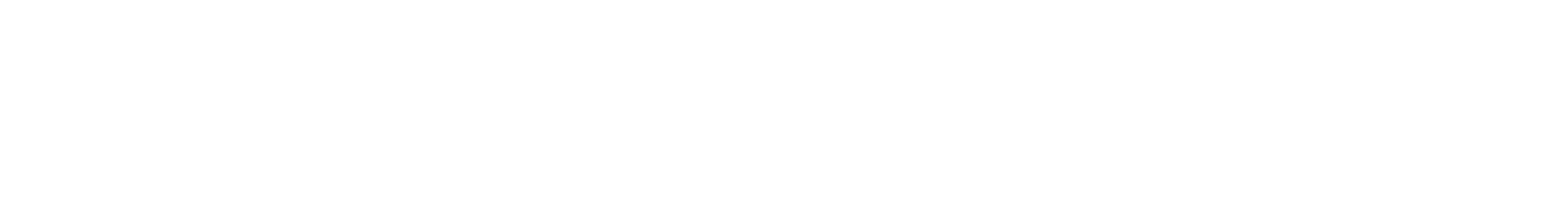 Grupo Líder